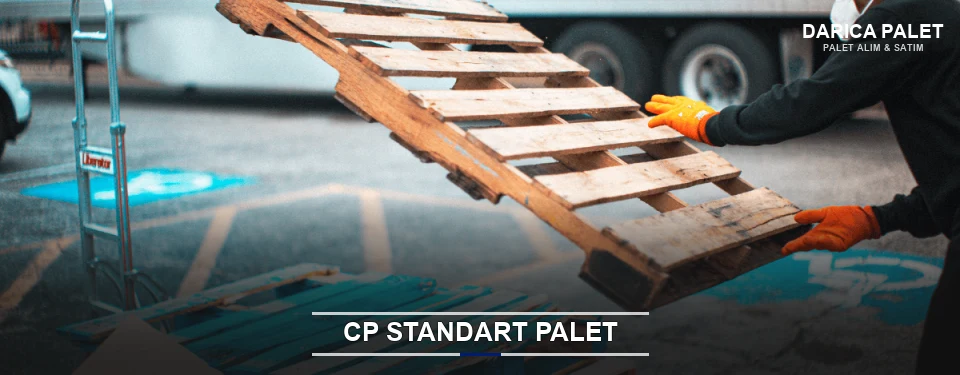 Darıca CP Palet Çözümleri