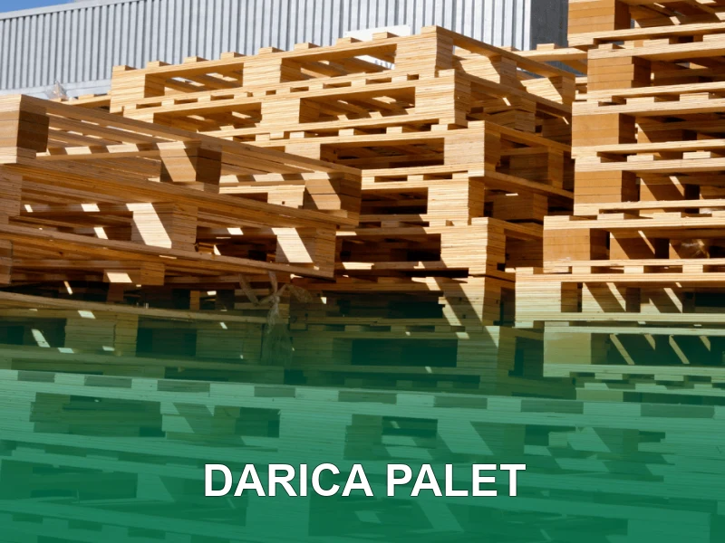 Darıca Palet Galeri 1