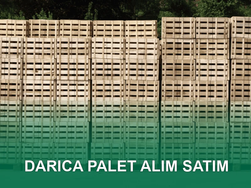 Darıca Palet Galeri 3