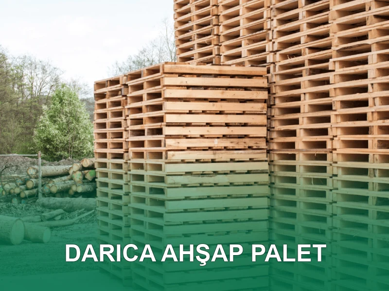 Darıca Palet Galeri 4