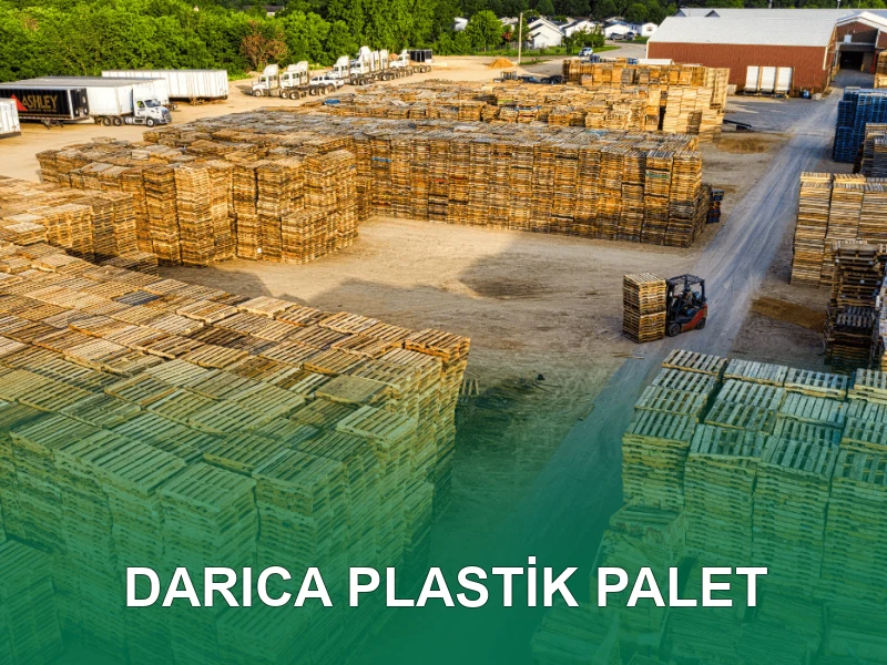 Darıca Palet Galeri 6